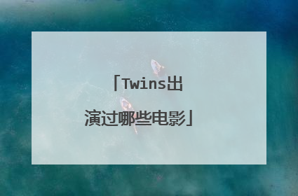 Twins出演过哪些电影