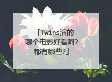 Twins演的哪个电影好看阿?都有哪些?