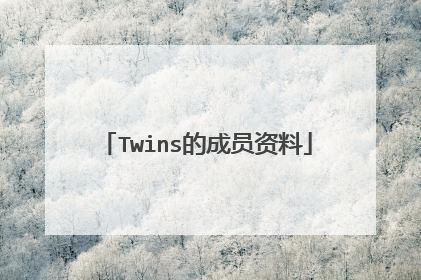 Twins的成员资料