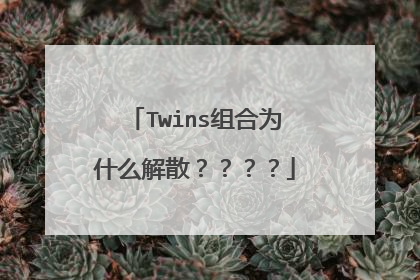 Twins组合为什么解散????