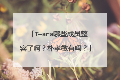 T—ara哪些成员整容了啊?朴孝敏有吗?