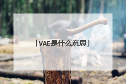 VAE是什么意思
