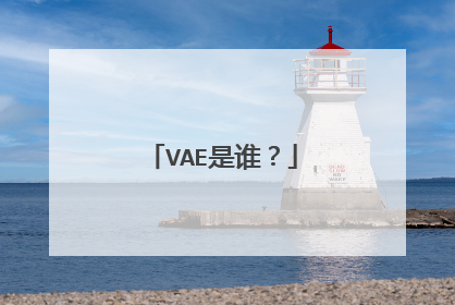 VAE是谁?