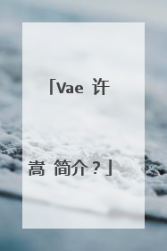 Vae 许嵩 简介?