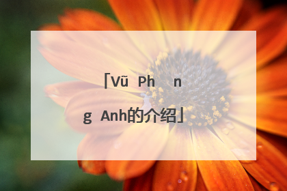 Vũ Phương Anh的介绍