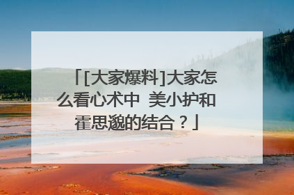 [大家爆料]大家怎么看心术中 美小护和霍思邈的结合？