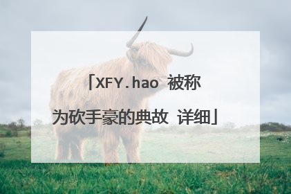 XFY.hao 被称为砍手豪的典故 详细