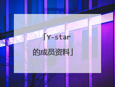 Y-star的成员资料
