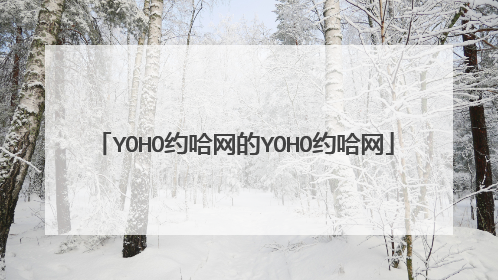 YOHO约哈网的YOHO约哈网