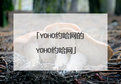 YOHO约哈网的YOHO约哈网