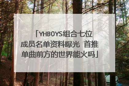 YHBOYS组合七位成员名单资料曝光 首推单曲前方的世界能火吗