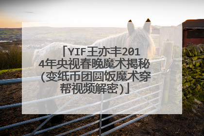 YIF王亦丰2014年央视春晚魔术揭秘(变纸币团圆饭魔术穿帮视频解密)