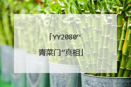 YY2080“青菜门”真相