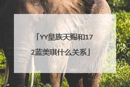 YY皇族天赐和172蓝美琪什么关系