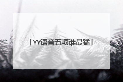 YY语音五项谁最猛