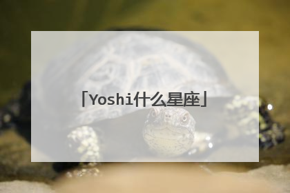 Yoshi什么星座