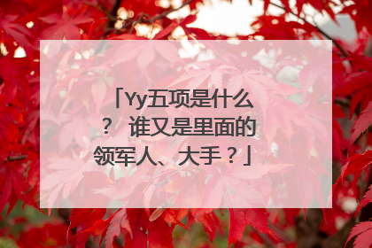 Yy五项是什么? 谁又是里面的领军人、大手?