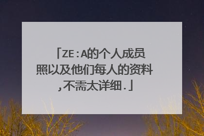 ZE:A的个人成员照以及他们每人的资料,不需太详细.