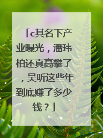 c其名下产业曝光，潘玮柏还真高攀了，吴昕这些年到底赚了多少钱？