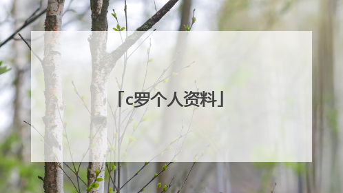 c罗个人资料