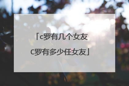 c罗有几个女友 C罗有多少任女友