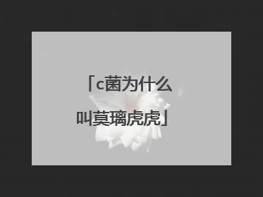 c菌为什么叫莫璃虎虎