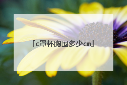 c罩杯胸围多少cm