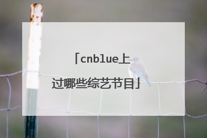 cnblue上过哪些综艺节目