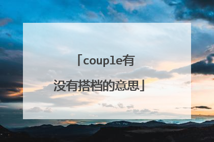 couple有没有搭档的意思