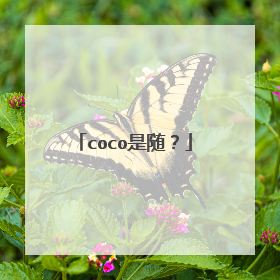 coco是随？