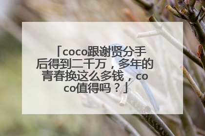 coco跟谢贤分手后得到二千万,多年的青春换这么多钱,coco值得吗?