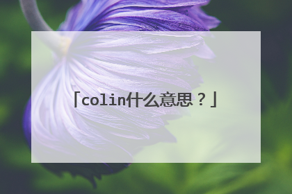 colin什么意思？