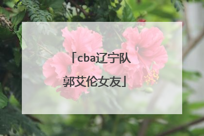 cba辽宁队郭艾伦女友