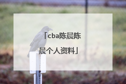 cba陈晨陈晨个人资料