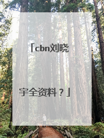 cbn刘晓宇全资料？