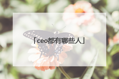 ceo都有哪些人