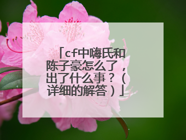 cf中嗨氏和陈子豪怎么了，出了什么事？（详细的解答）