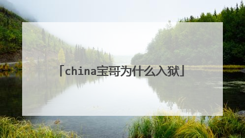 china宝哥为什么入狱
