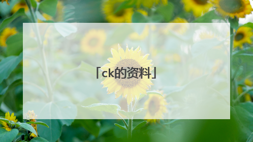 ck的资料
