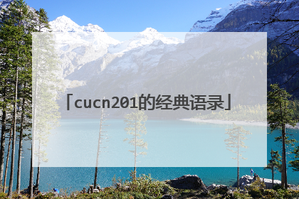 cucn201的经典语录