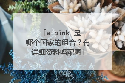 a pink 是哪个国家的组合？有详细资料吗配图