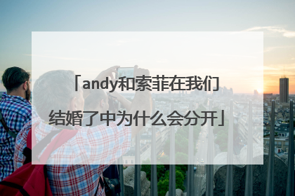 andy和索菲在我们结婚了中为什么会分开
