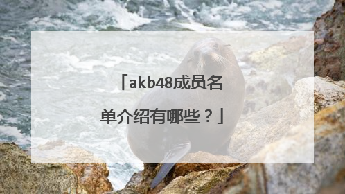 akb48成员名单介绍有哪些？