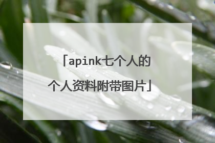 apink七个人的个人资料附带图片