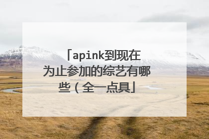 apink到现在为止参加的综艺有哪些（全一点具