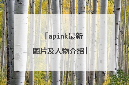 apink最新图片及人物介绍