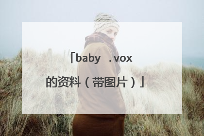 baby .vox的资料（带图片）