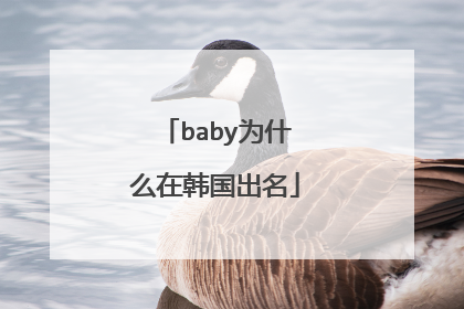 baby为什么在韩国出名