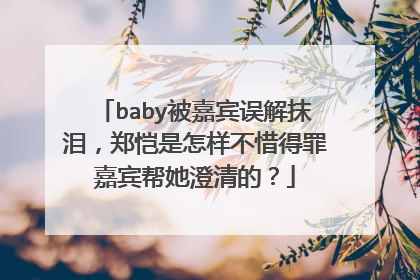 baby被嘉宾误解抹泪,郑恺是怎样不惜得罪嘉宾帮她澄清的?
