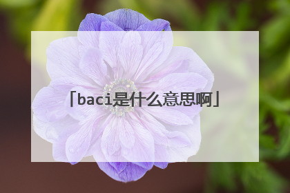 baci是什么意思啊